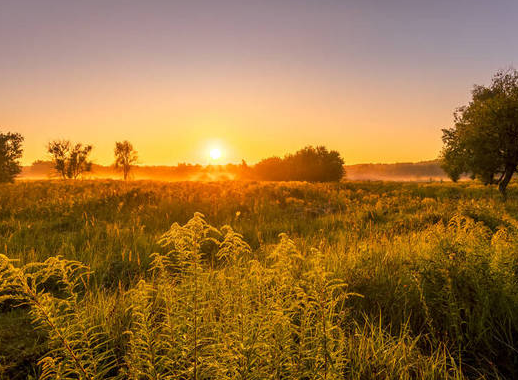 1689910533110879.png image.png